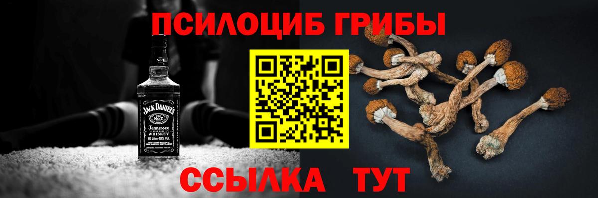 Галлюциногенные грибы MAGIC MUSHROOMS  Вход с VPN  Ногинск  Галлюциногенные грибы ЛСД 