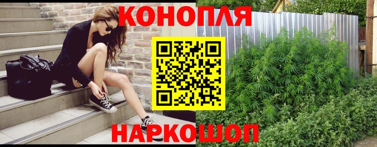 Бошки Шишки тримм Ногинск